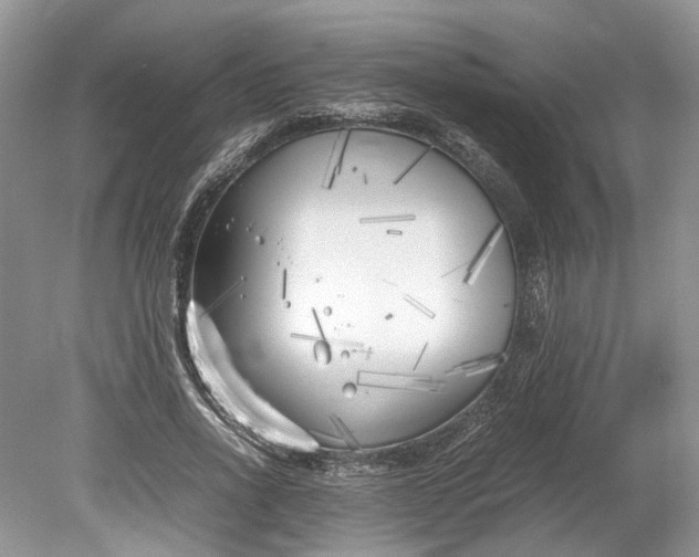 X0000078880734200611271326
