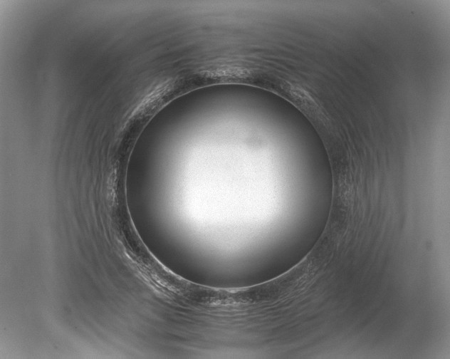 X0000078880735200611271326