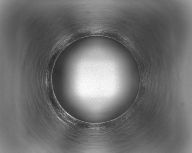 X0000078880740200611271326