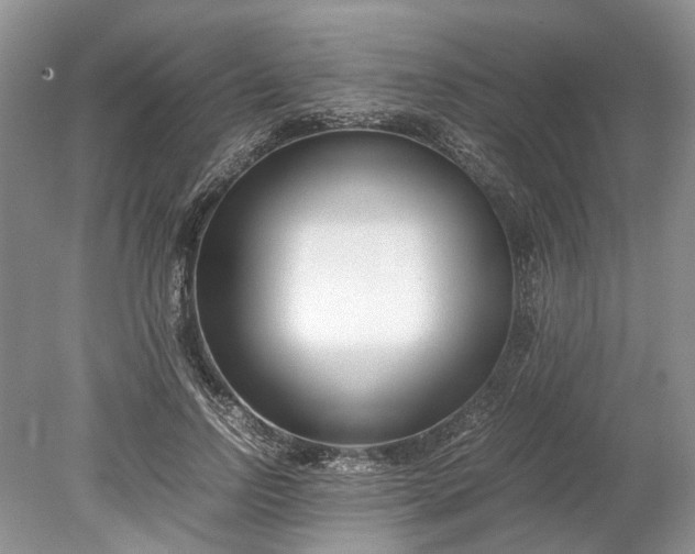X0000078880742200611271326