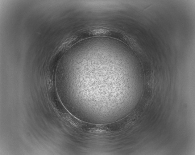 X0000078880743200611271326