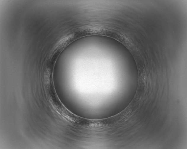 X0000078880744200611271326