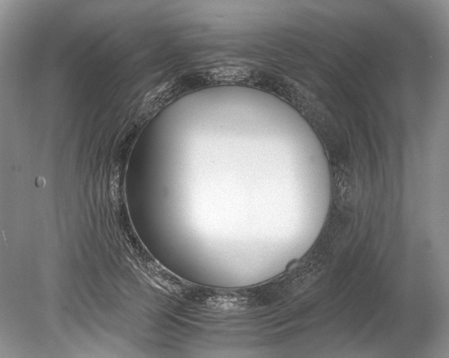 X0000078880745200611271326
