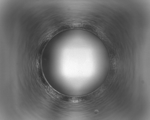 X0000078880746200611271326