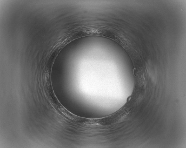 X0000078880747200611271326