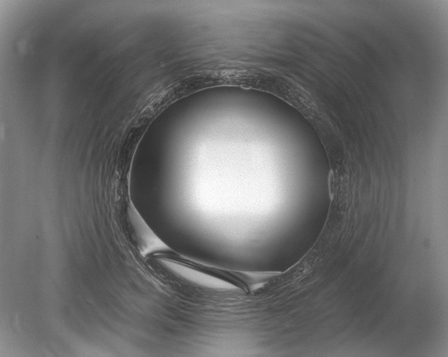 X0000078880750200611271326