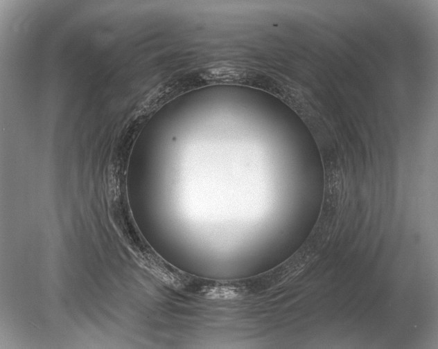 X0000078880751200611271326