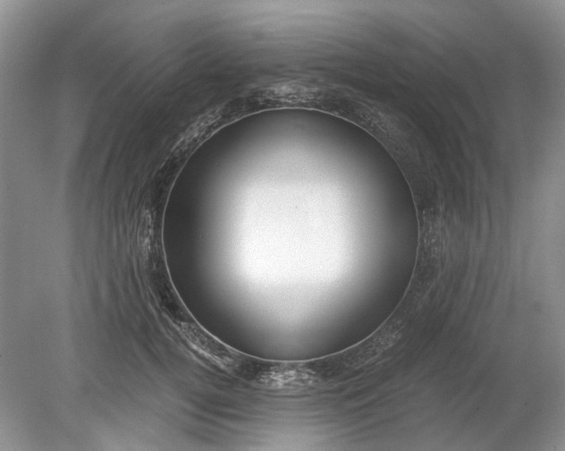 X0000078880752200611271326