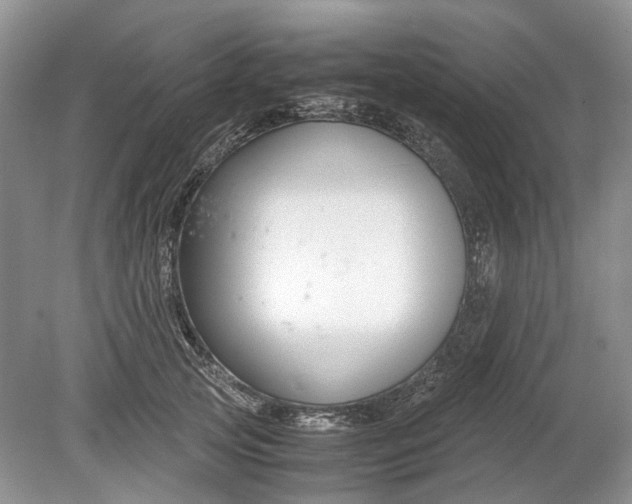 X0000078880753200611271326