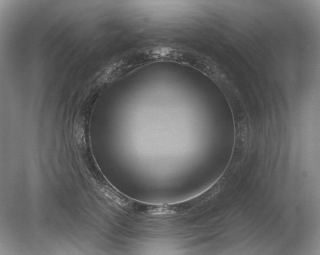 X0000078880754200611271326