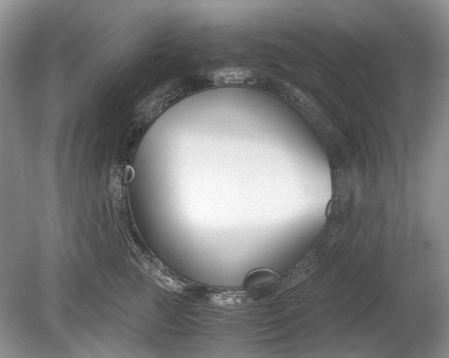 X0000078880761200611271327