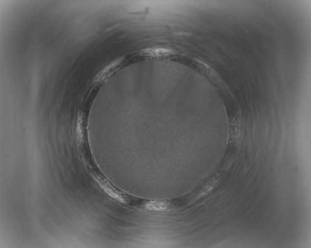 X0000078880762200611271327