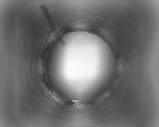X0000078880764200611271327
