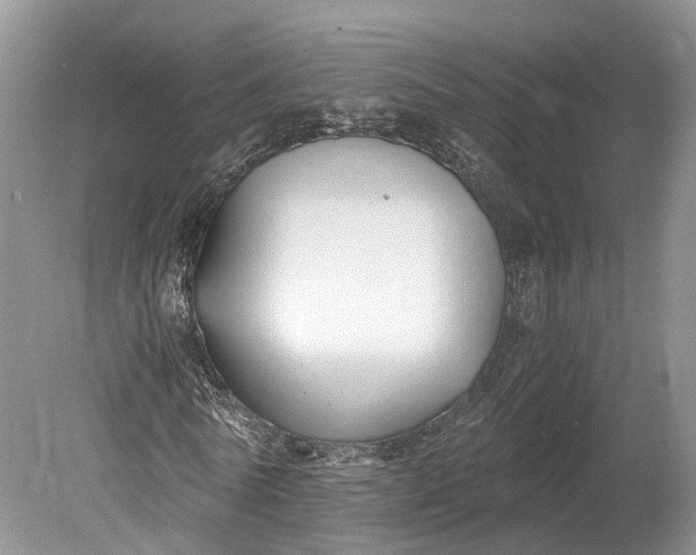 X0000078880770200611271326