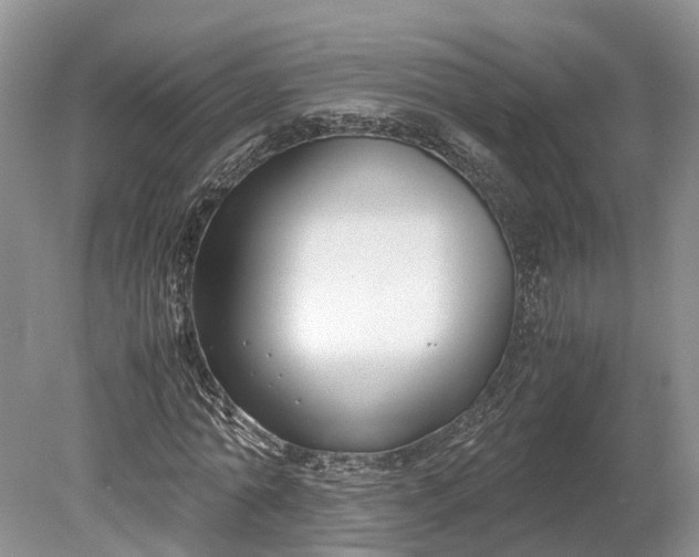 X0000078880774200611271326