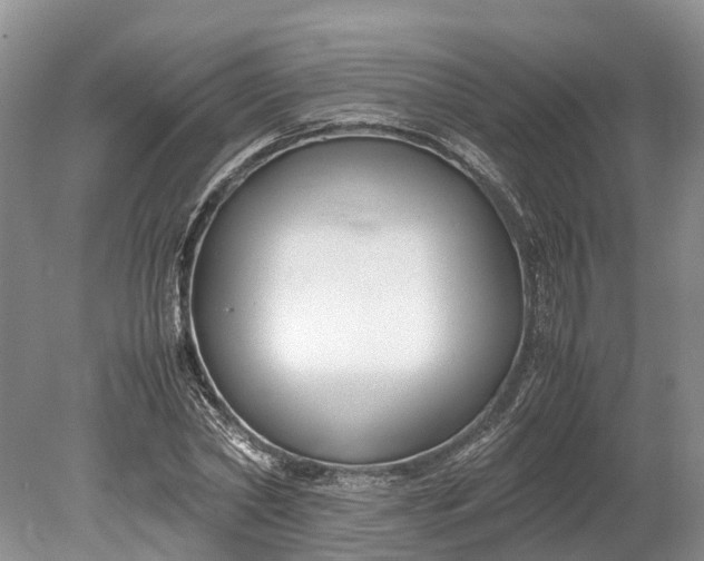 X0000078880782200611271326