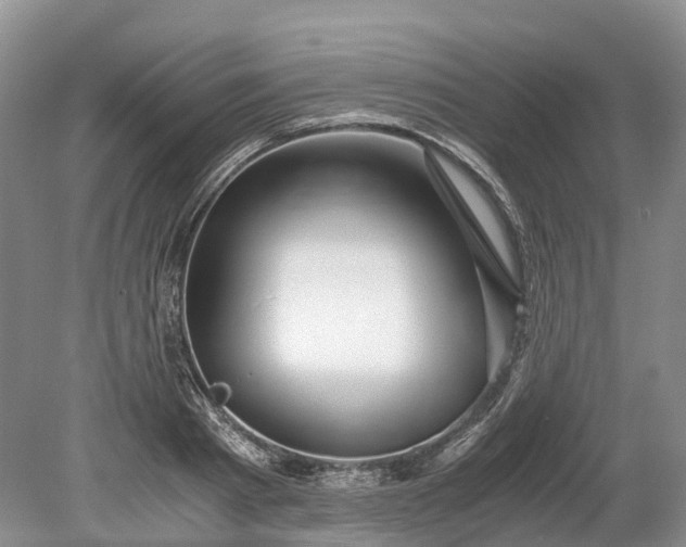 X0000078880793200611271325