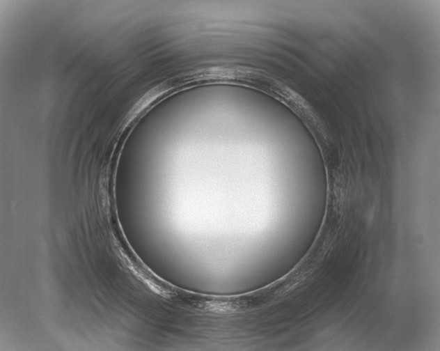 X0000078880794200611271325