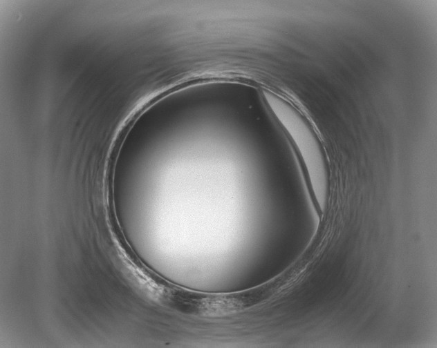 X0000078880795200611271325