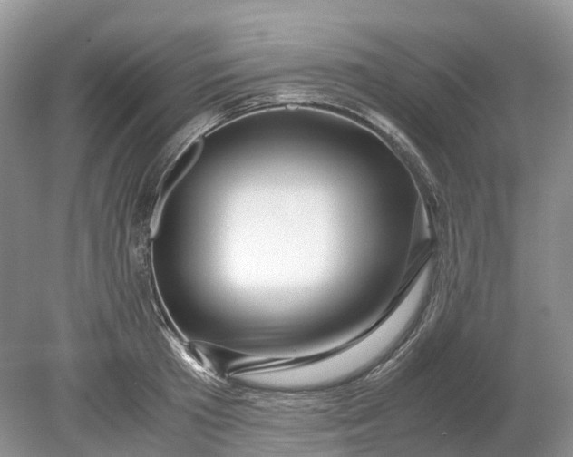 X0000078880801200611271325