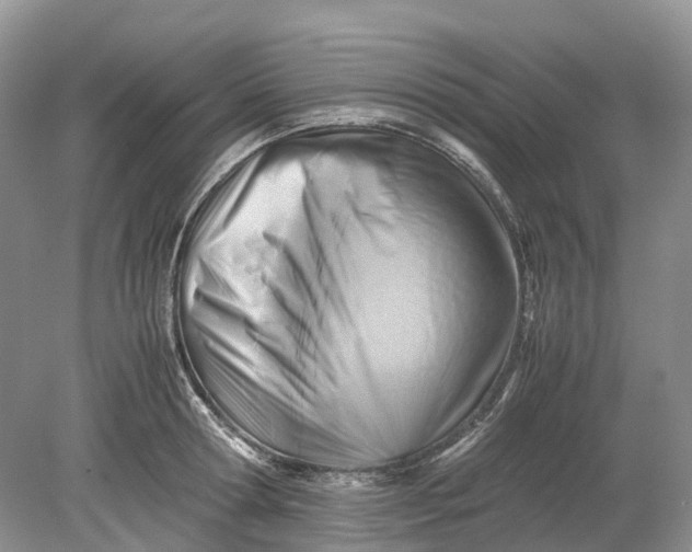 X0000078880802200611271325
