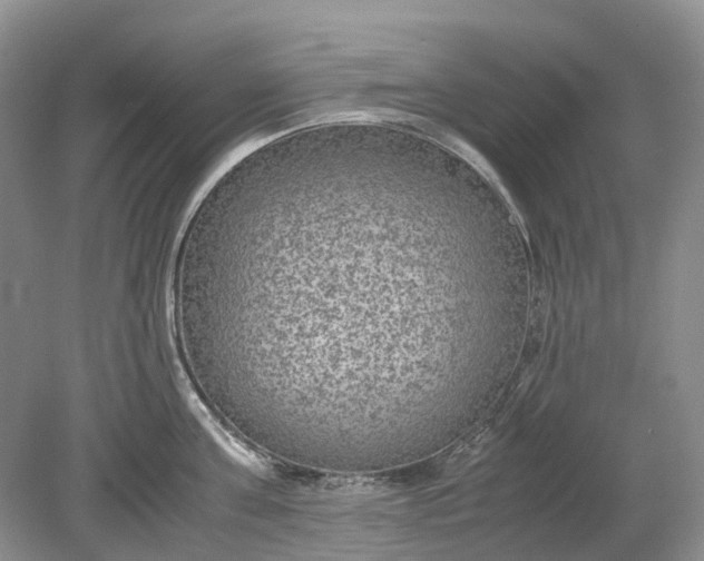 X0000078880811200611271325