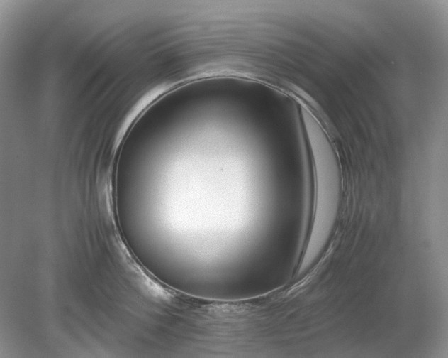 X0000078880812200611271325