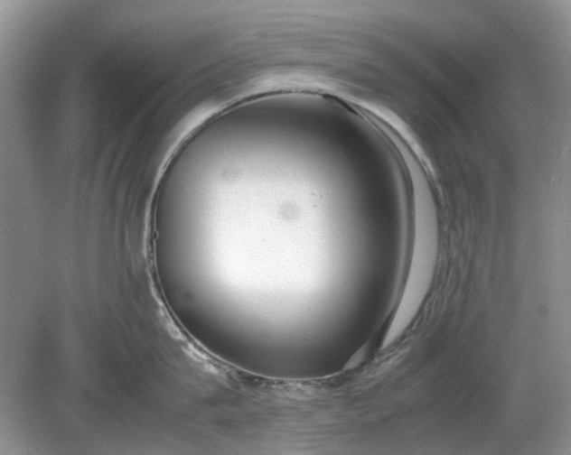 X0000078880815200611271325
