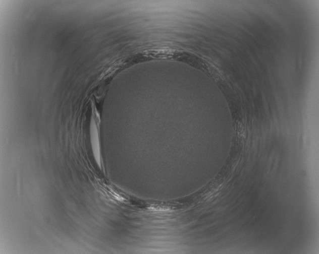 X0000078880818200611271324
