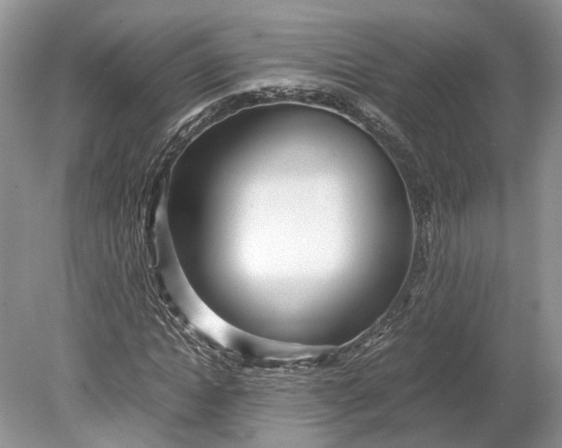 X0000078880822200611271324