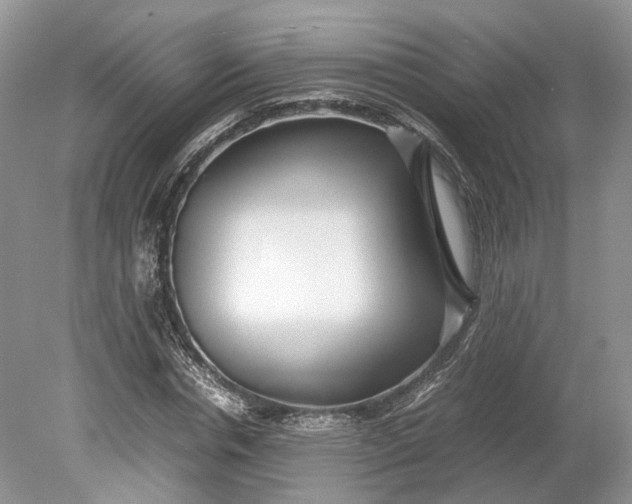 X0000078880826200611271324