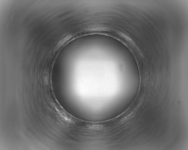 X0000078880833200611271325