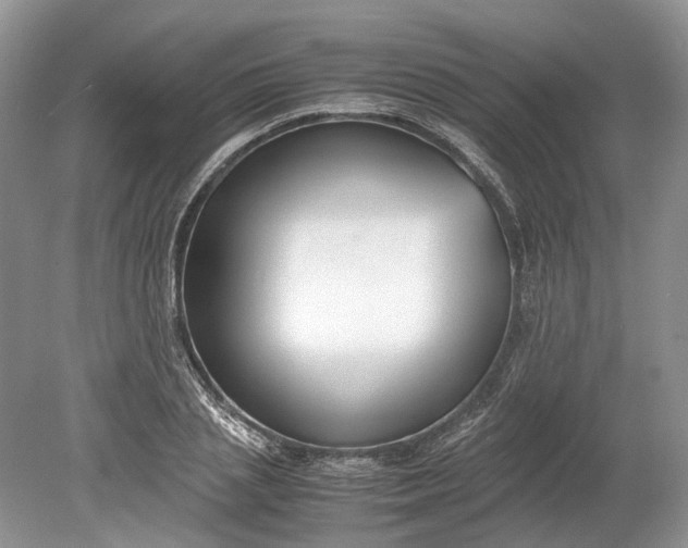 X0000078880837200611271325