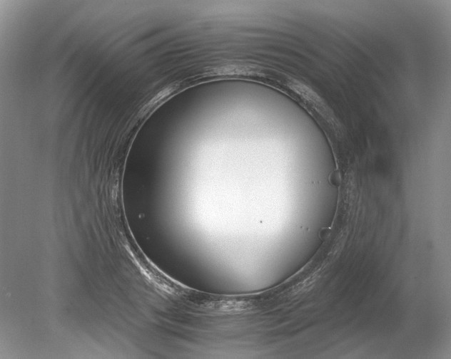 X0000078880841200611271325