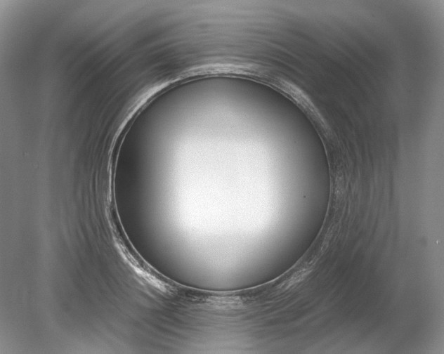 X0000078880844200611271325