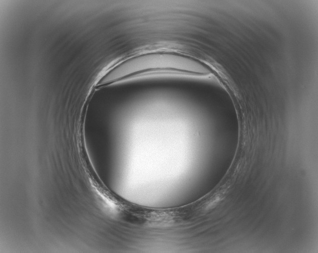 X0000078880850200611271325