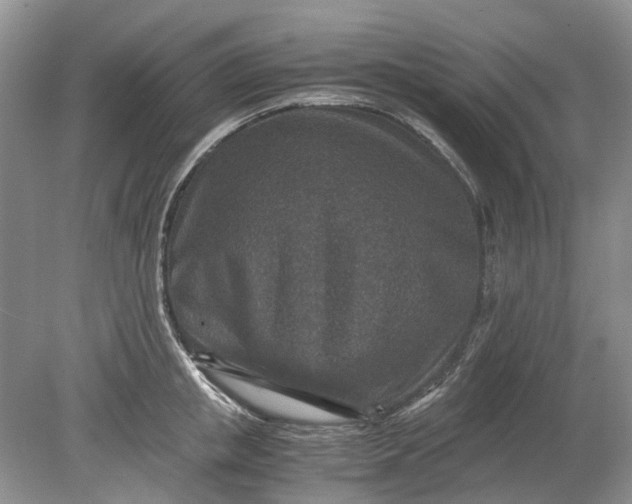 X0000078880853200611271325