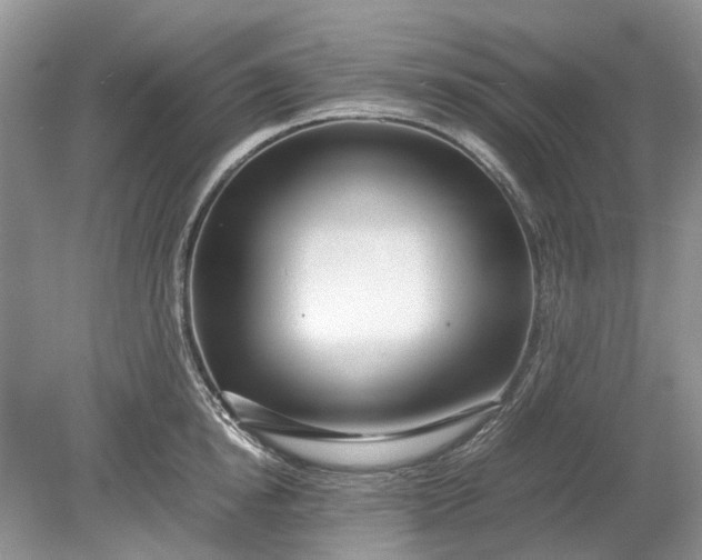 X0000078880854200611271325