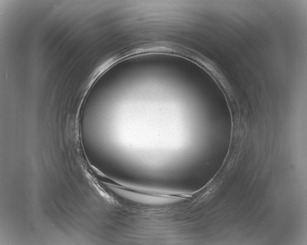 X0000078880858200611271325