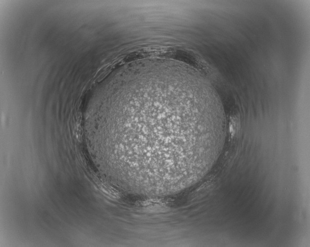 X0000078880867200611271324