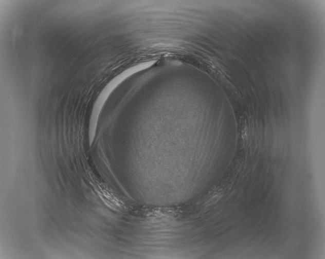 X0000078880868200611271324