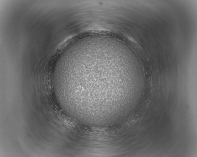 X0000078880870200611271324