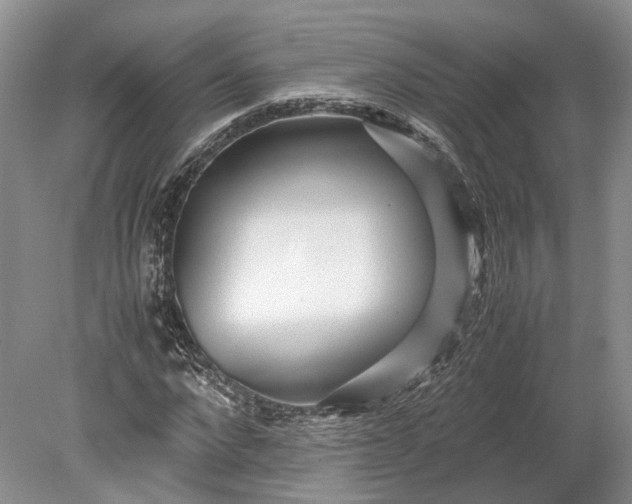 X0000078880872200611271324