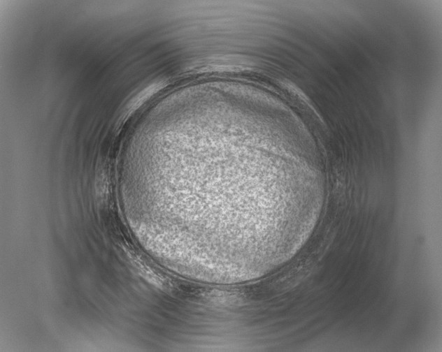 X0000078880874200611271324