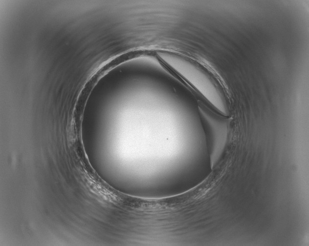 X0000078880876200611271324