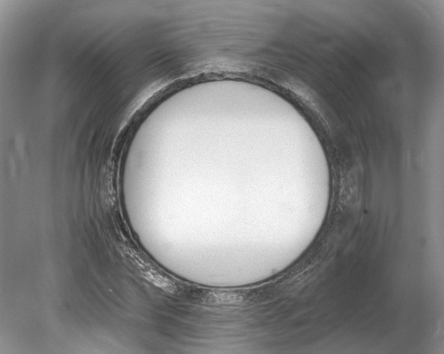 X0000078880878200611271324