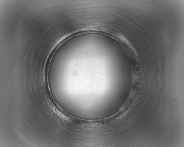 X0000078880884200611271324