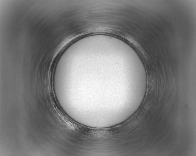 X0000078880886200611271324
