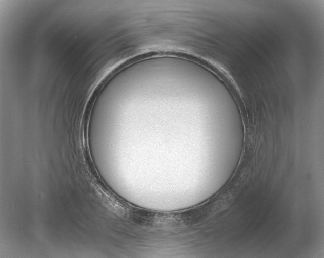 X0000078880887200611271324