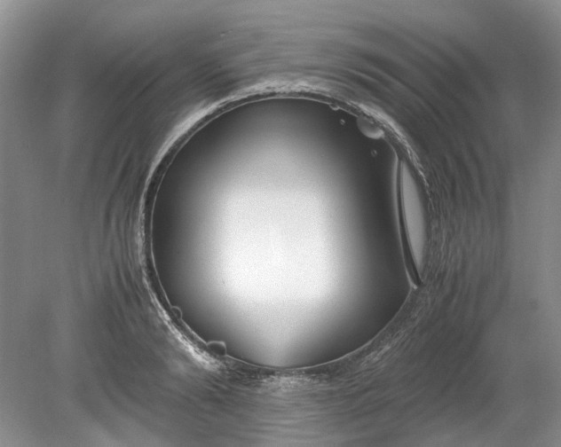 X0000078880894200611271324